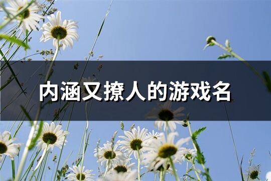 内涵又撩人的游戏名(共603个)