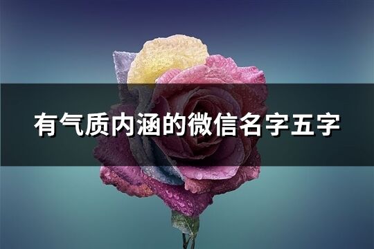 有气质内涵的微信名字五字(607个)