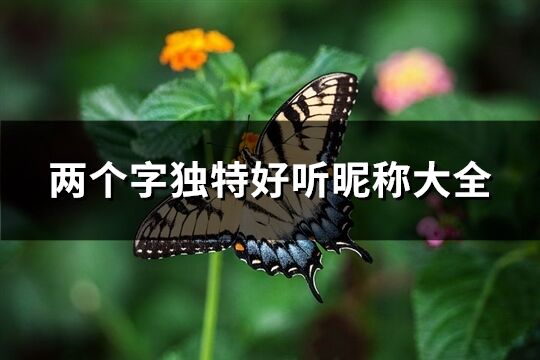 两个字独特好听昵称大全(共685个)