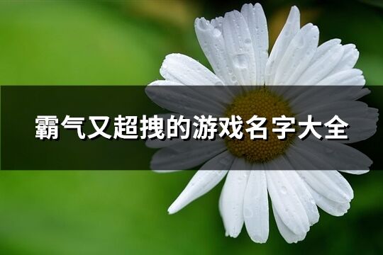 霸气又超拽的游戏名字大全(优选705个)