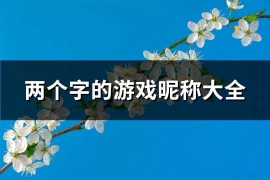 两个字的游戏昵称大全(精选510个)