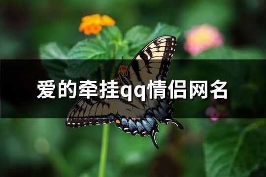 爱的牵挂qq情侣网名(341个)