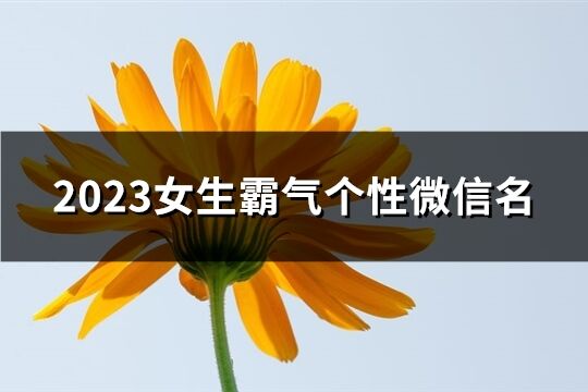 2023女生霸气个性微信名(共2526个)