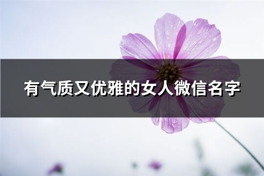 有气质又优雅的女人微信名字(共431个)