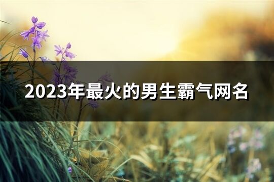 2023年最火的男生霸气网名(共895个)