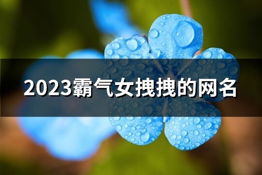 2023霸气女拽拽的网名(共703个)