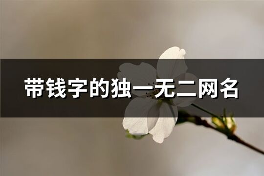 带钱字的独一无二网名(优选95个)