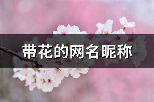 带花的网名昵称(101个)