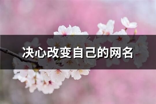 决心改变自己的网名(共130个)