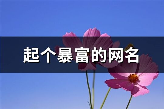 起个暴富的网名(优选362个)