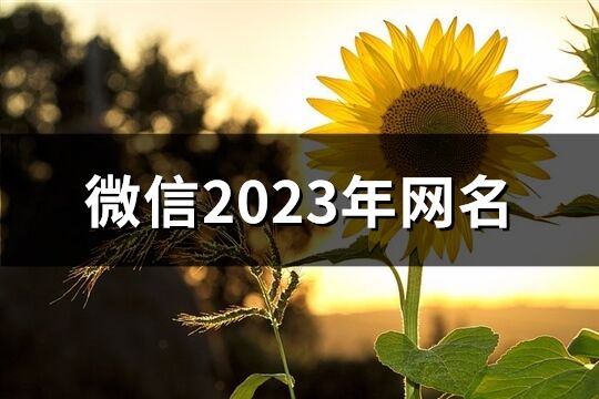 微信2023年网名(1637个)