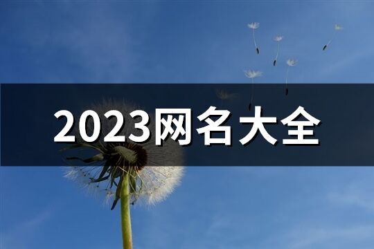 2023网名大全(共1045个)