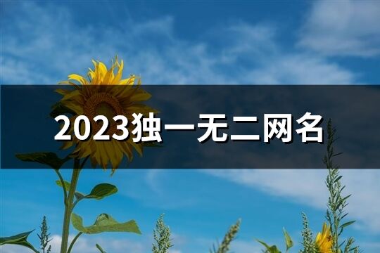 2023独一无二网名(489个)