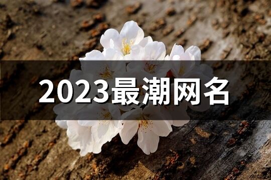 2023最潮网名(精选1308个)