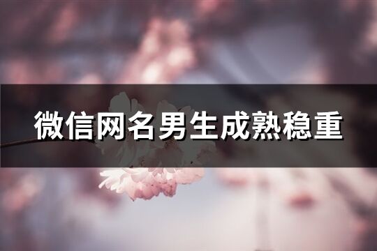 微信网名男生成熟稳重(共1186个)