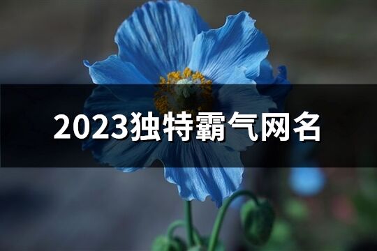 2023独特霸气网名(优选721个)