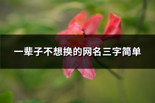 一辈子不想换的网名三字简单(精选1294个)