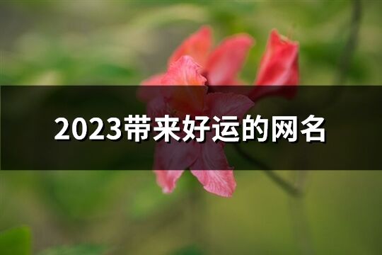 2023带来好运的网名(精选1254个)