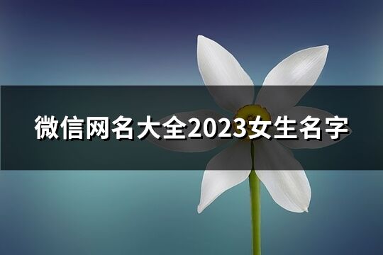 微信网名大全2023女生名字(共1325个)