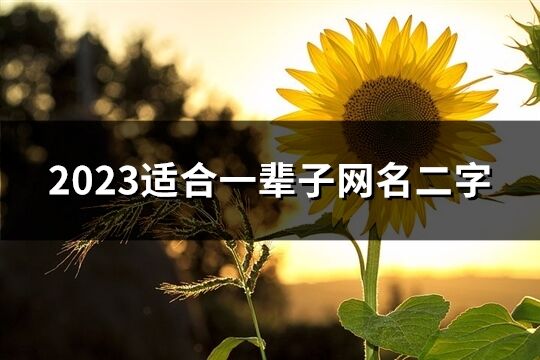 2023适合一辈子网名二字(优选895个)