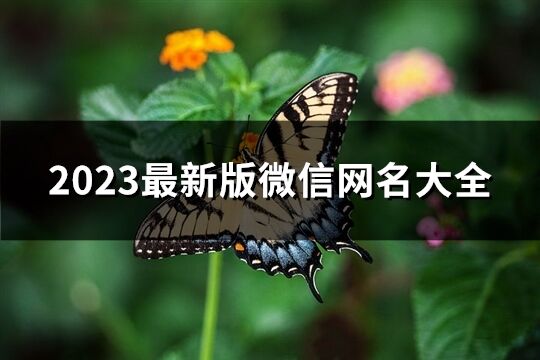 2023最新版微信网名大全(共1269个)