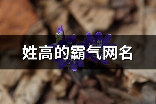 姓高的霸气网名(92个)