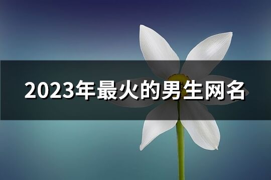 2023年最火的男生网名(精选491个)