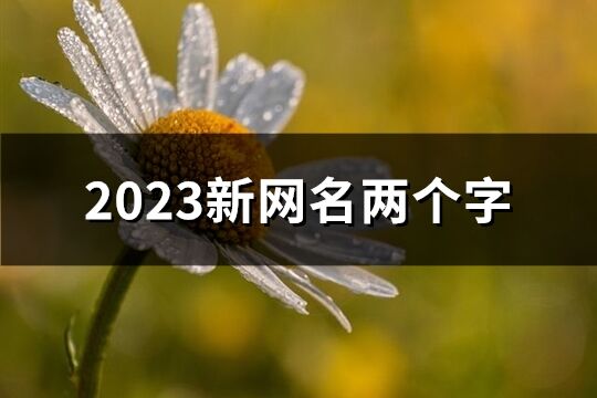 2023新网名两个字(共1158个)