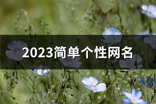 2023简单个性网名(共573个)