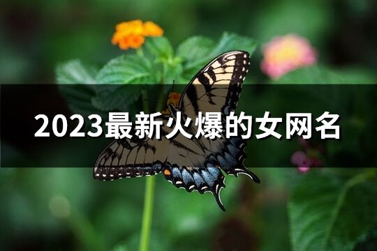 2023最新火爆的女网名(优选770个)