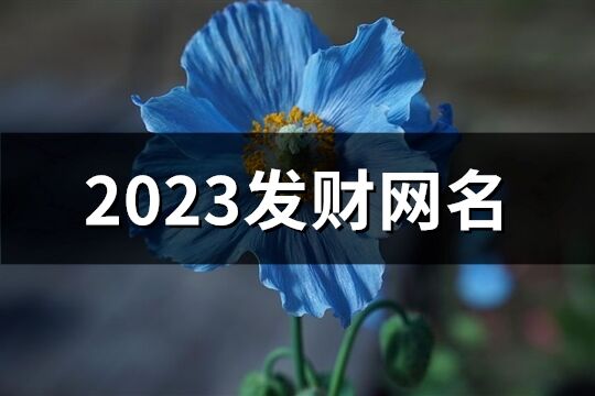 2023发财网名(537个)