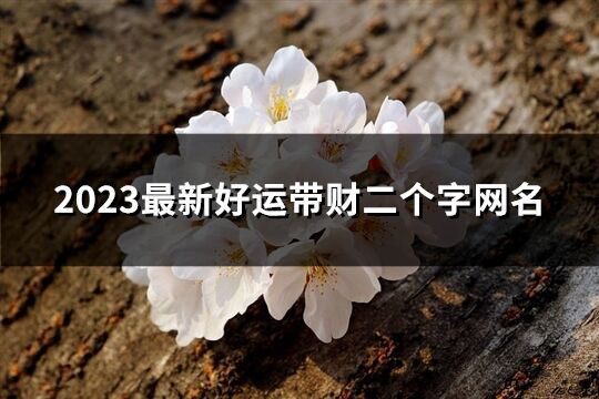 2023最新好运带财二个字网名(71个)