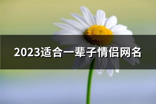 2023适合一辈子情侣网名(优选361个)