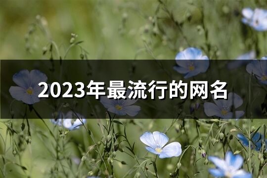 2023年最流行的网名(精选978个)