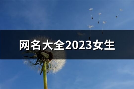 网名大全2023女生(优选1376个)