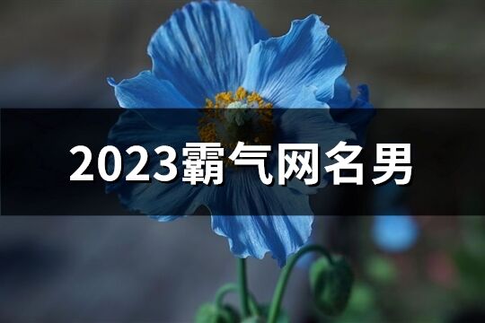 2023霸气网名男(721个)