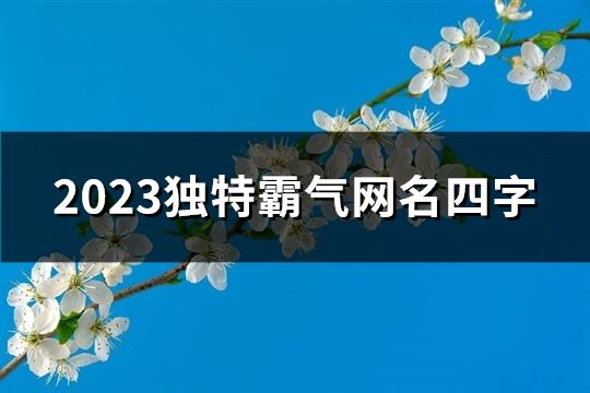 2023独特霸气网名四字(共555个)