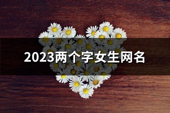 2023两个字女生网名(共1184个)