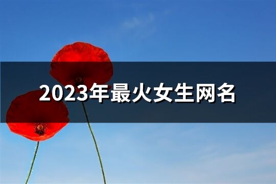 2023年最火女生网名(优选554个)