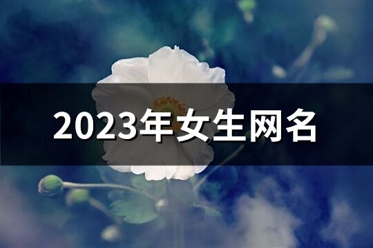 2023年女生网名(共1190个)