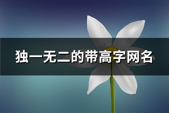 独一无二的带高字网名(精选92个)