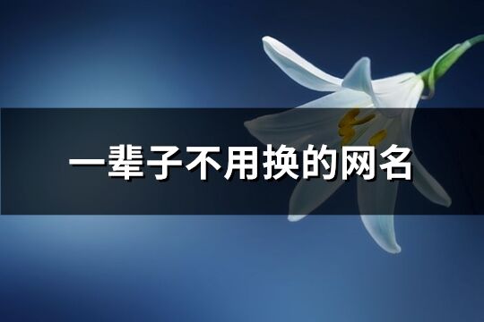 一辈子不用换的网名(共332个)