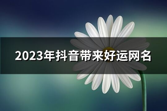 2023年抖音带来好运网名(共224个)