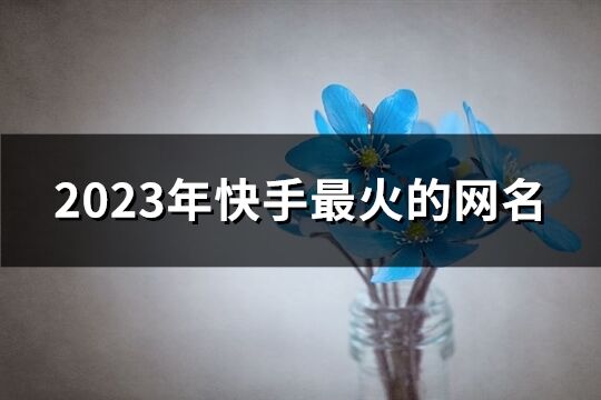 2023年快手最火的网名(共437个)