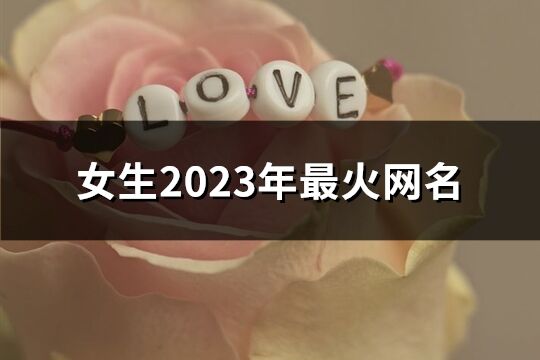 女生2023年最火网名(共1368个)