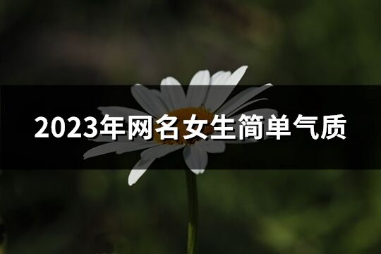 2023年网名女生简单气质(优选432个)