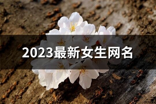 2023最新女生网名(共869个)