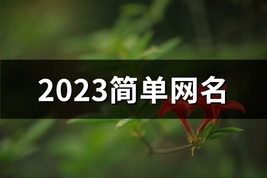 2023简单网名(优选1118个)