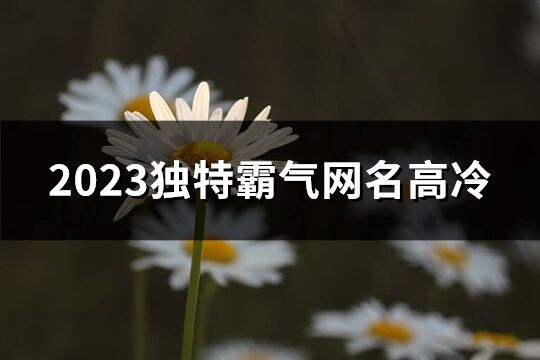 2023独特霸气网名高冷(精选276个)