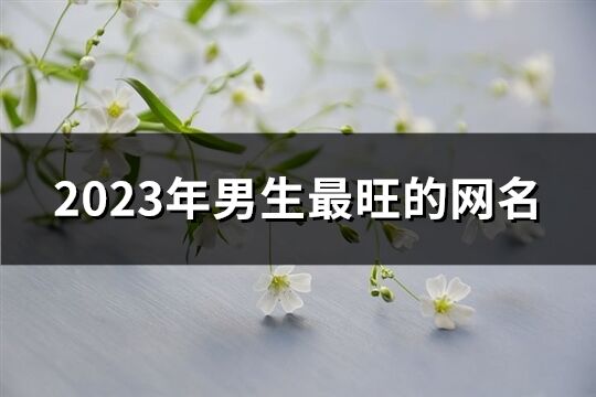 2023年男生最旺的网名(245个)